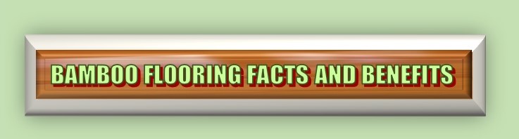 Floor Fantasy Bamboo Flooring Floor Fantasy Bamboo Flooring