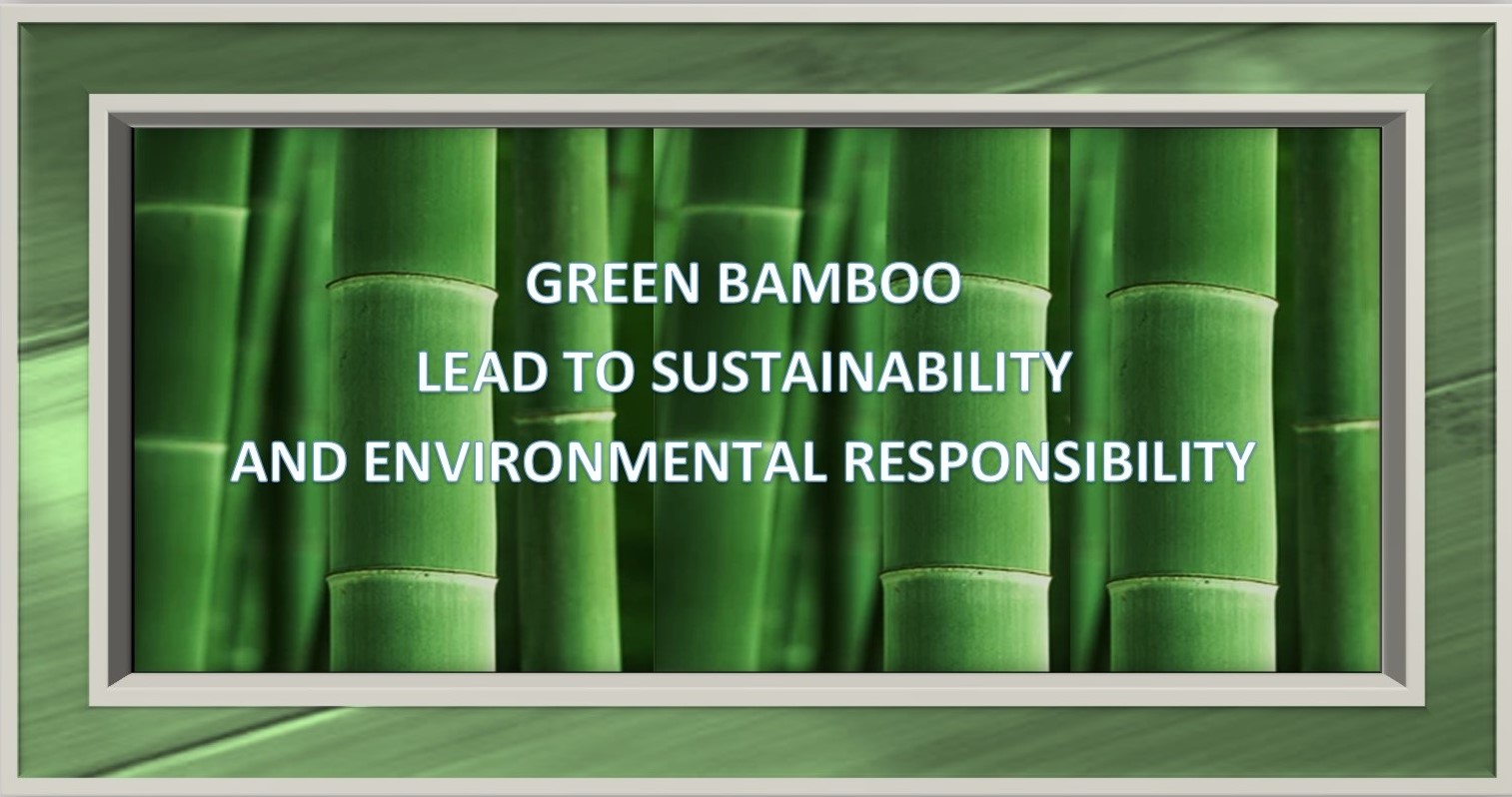 Floor Fantasy Bamboo Flooring Floor Fantasy Bamboo Flooring