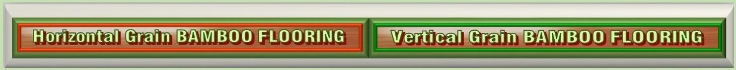 Floor Fantasy Bamboo Flooring Product Preview - Horizontal, Coffee, Semi-Gloss